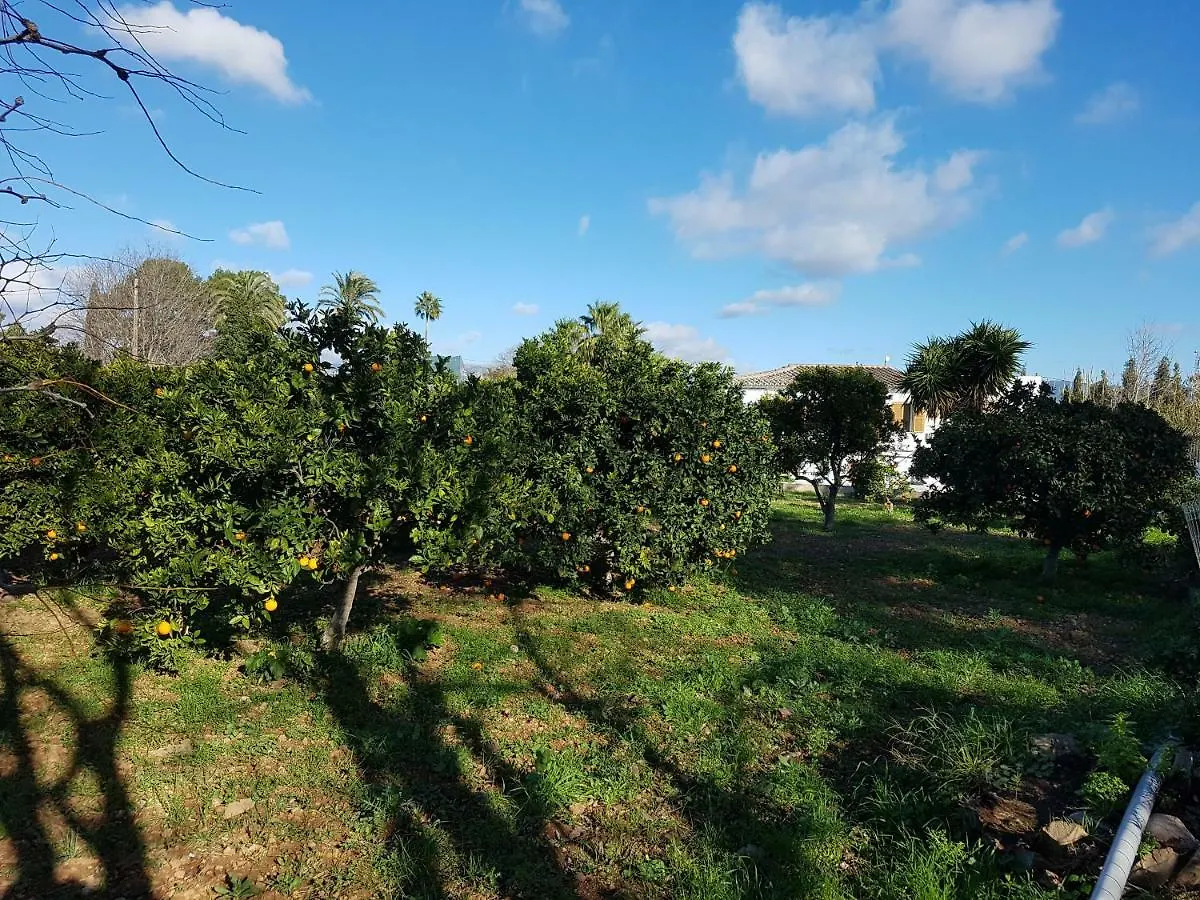Feriehus Es Moli D'En Palmer Villa Palma de Mallorca